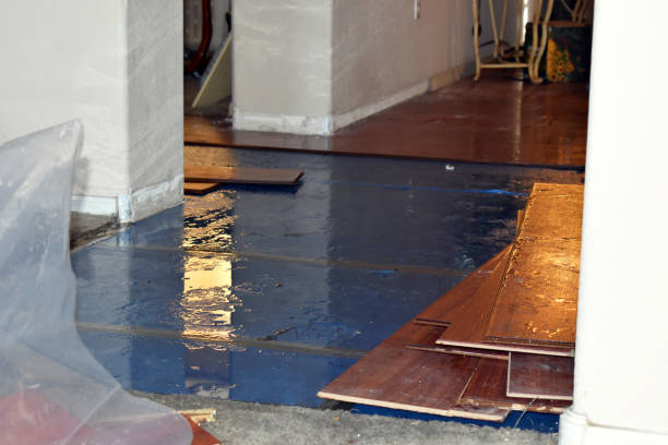 Professional Basement Water Removal technician working in Hull, IA